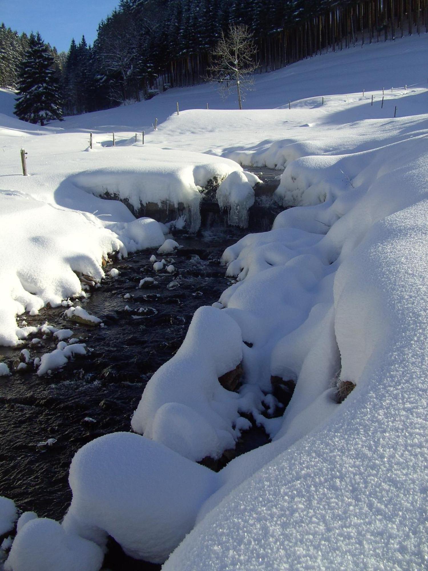 Thaelerhaeusle Hotel Furtwangen Buitenkant foto